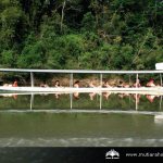 Taman Negara - longboat transfer